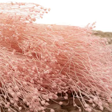 Broom Naturel stabilisé - Rose pastel