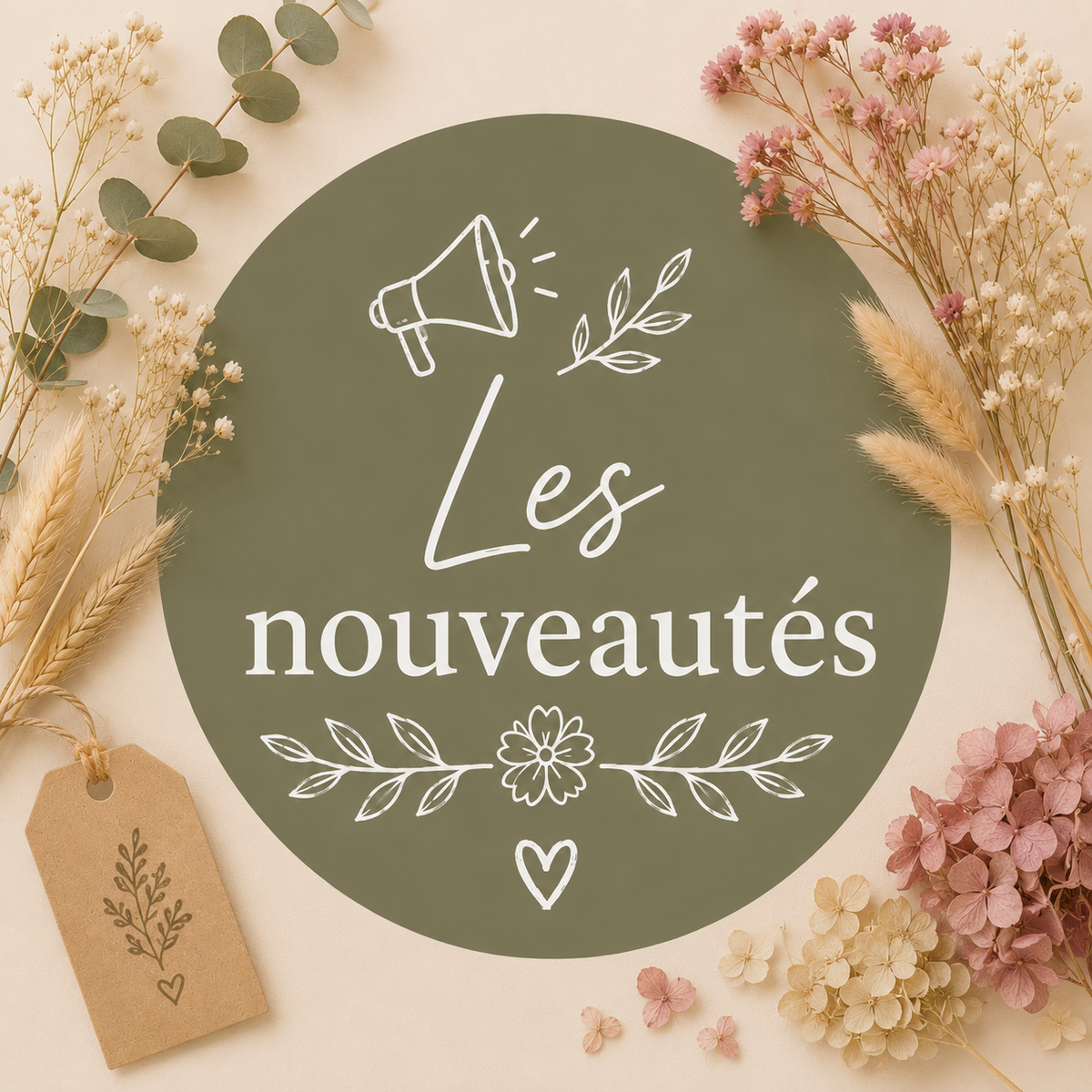 📣 Les nouveautés