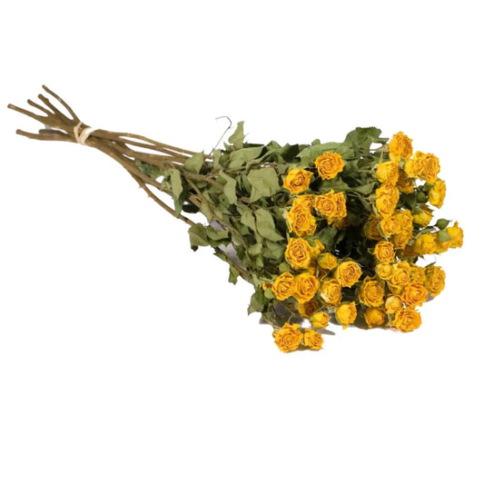 Bouquet de roses branchues séchées Jaune