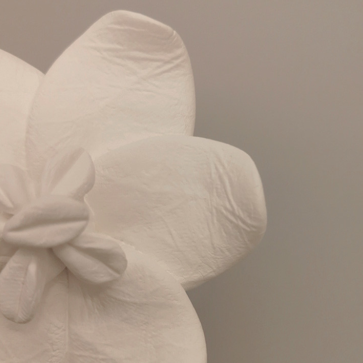 Diffuseur parfumé Jasmin d’Orient