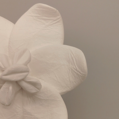 Diffuseur parfumé Jasmin d’Orient