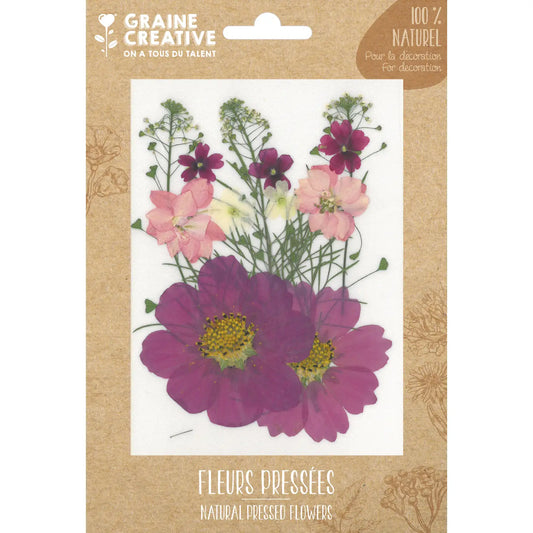Fleurs de prairie naturelles pressées Parme