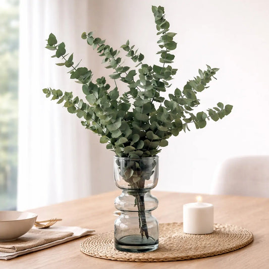 Eucalyptus Stuartiana Preservé Vert