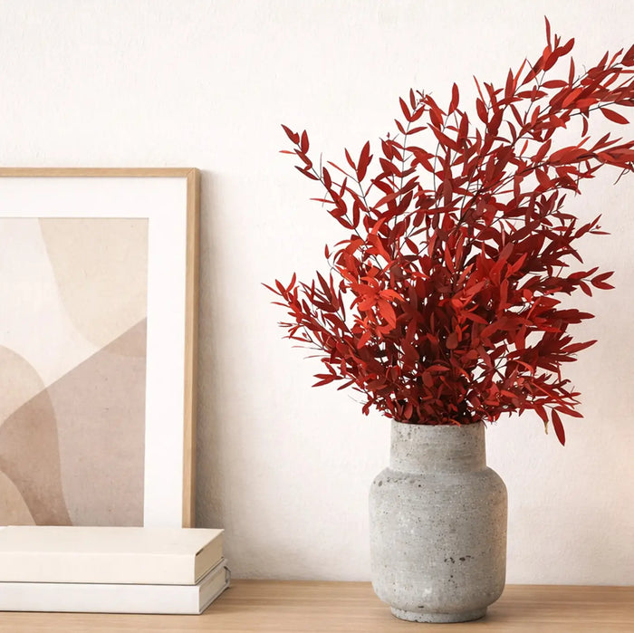 Eucalyptus Parvifolia Stabilisé Rouge