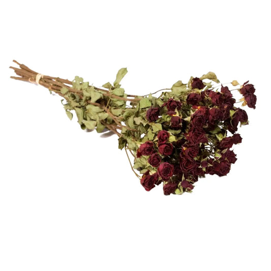 Bouquet de roses branchues séchées  Rouge naturel