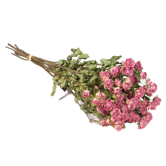 Bouquet de roses branchues séchées Rose