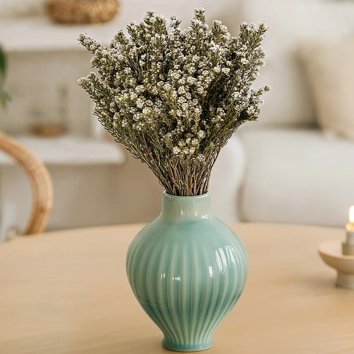 Coton Phylica Naturel Stabilisé