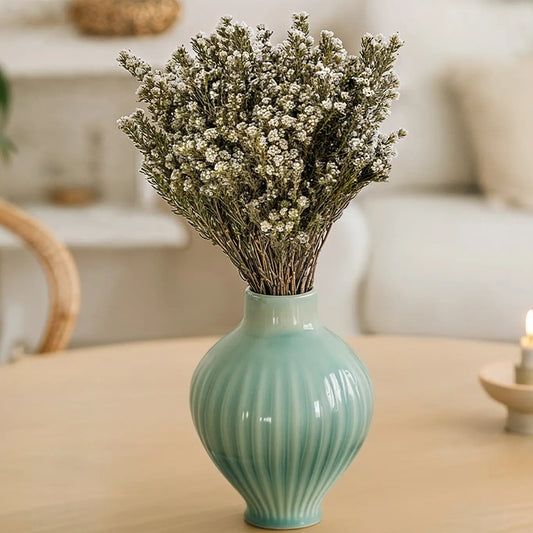 Coton Phylica Naturel Stabilisé