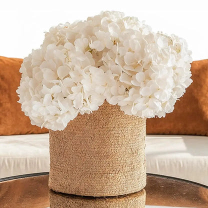 Hortensia Stabilisé Blanc Naturel