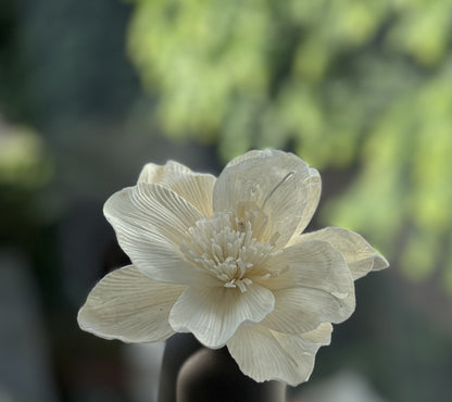 Vase diffuseur de parfum Mana Chocolat au lait