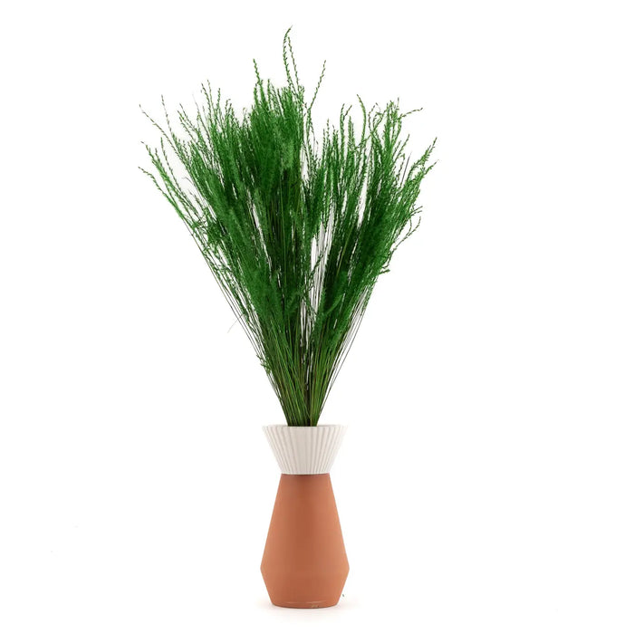 Fine Grass Séchée verte