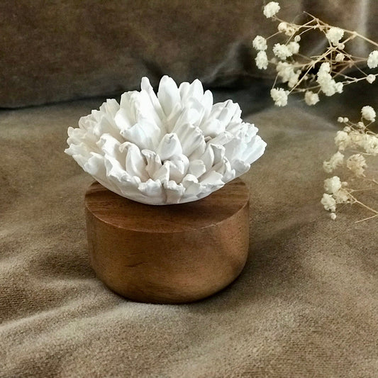 Diffuseur parfumé Œillet du Japon