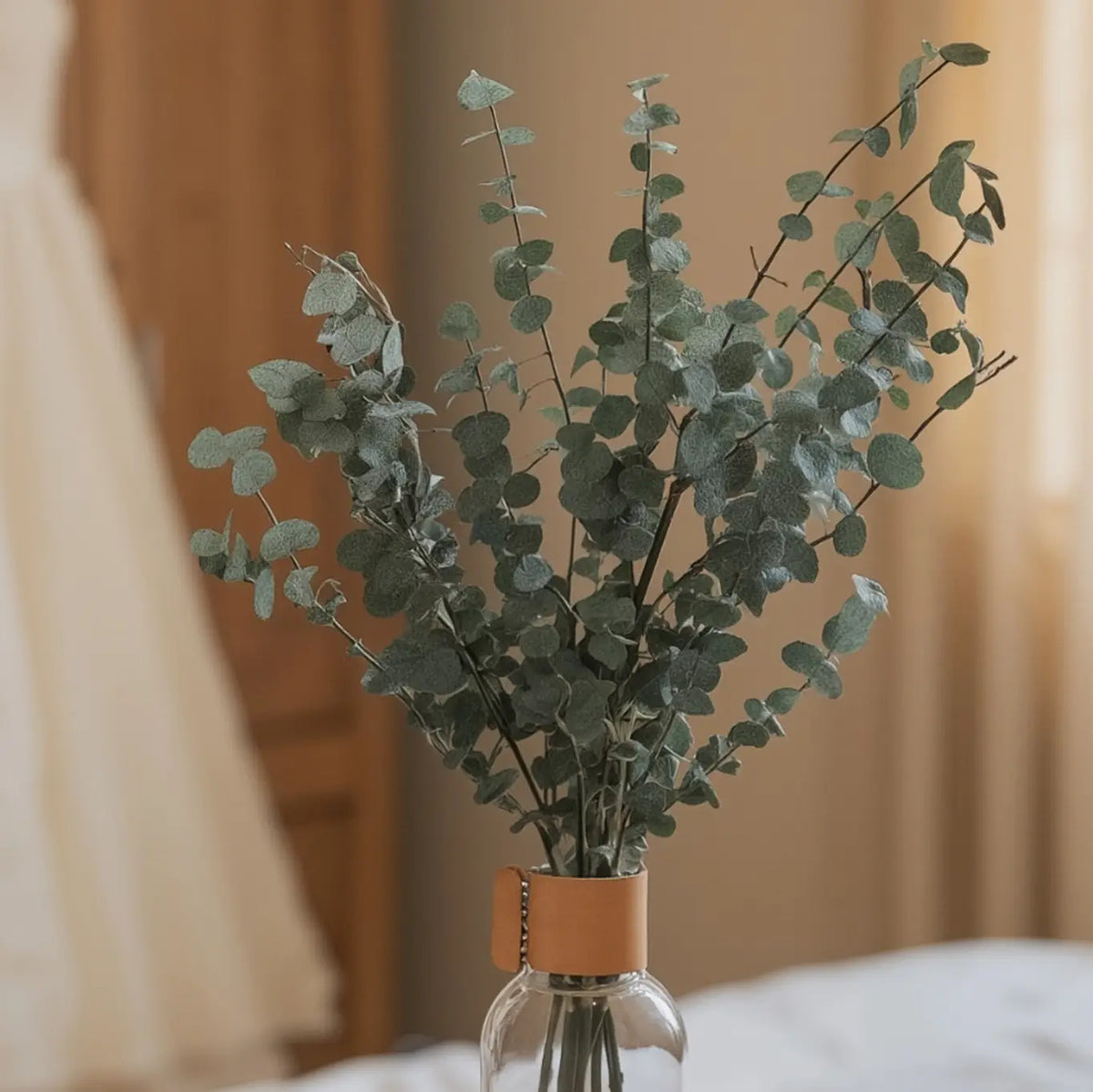 Eucalyptus Baby-Blue Stabilisé Vert