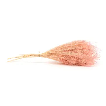 Broom Naturel stabilisé - Rose pastel