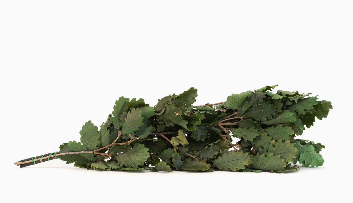 Chêne stabilisé Vert naturel