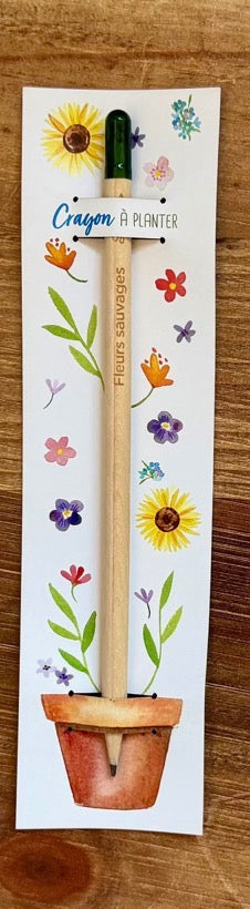 Crayon à planter