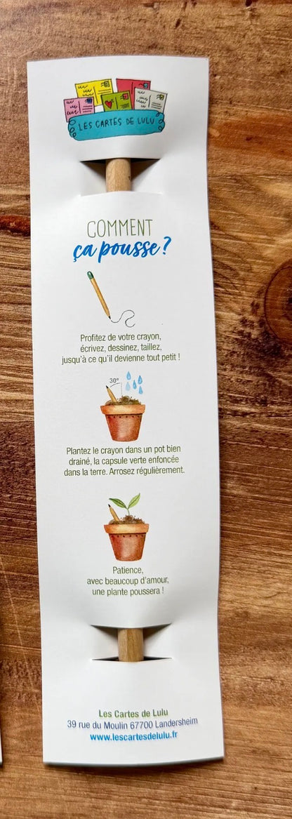 Crayon à planter