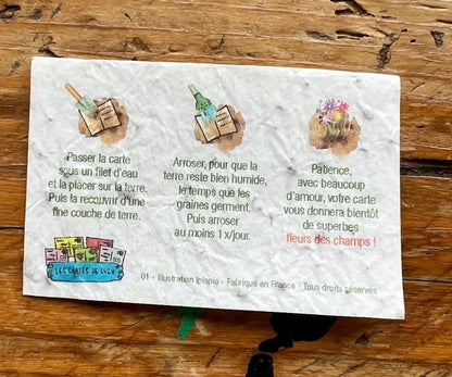 Joyeux anniversaire! Mini carte à planter