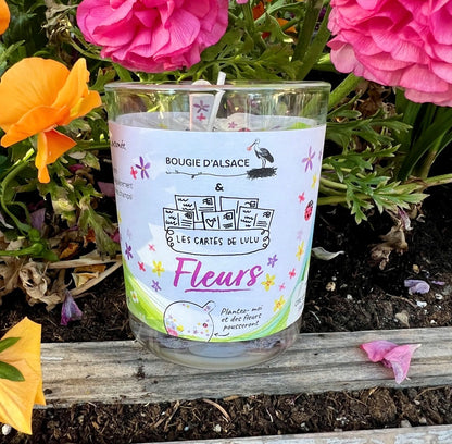Bougies à planter avec graines de fleurs