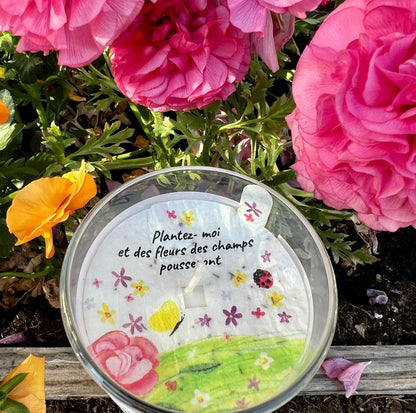 Bougies à planter avec graines de fleurs