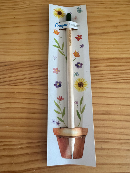 Crayon à planter Le jardin des idées