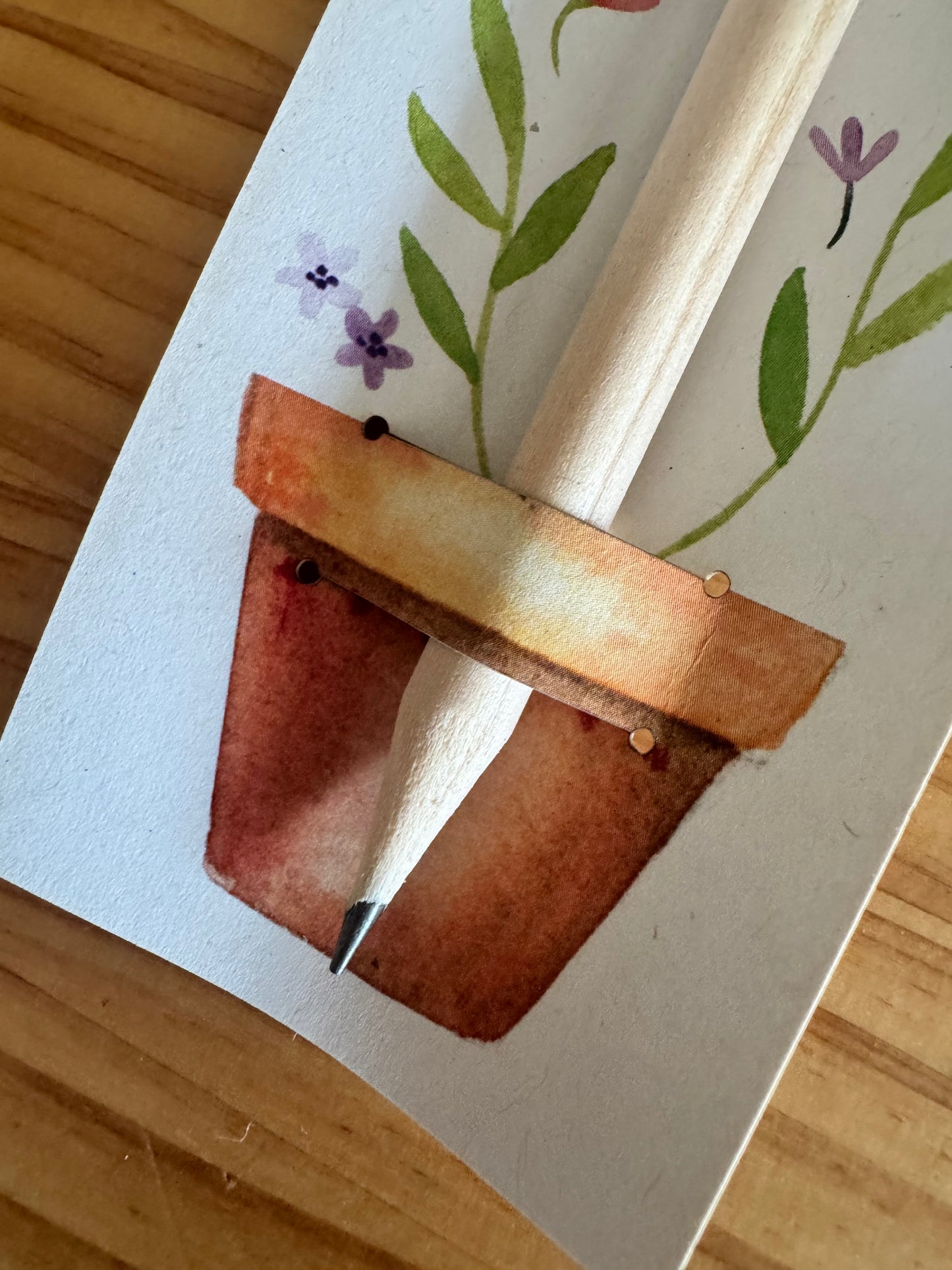 Crayon à planter Le jardin des idées