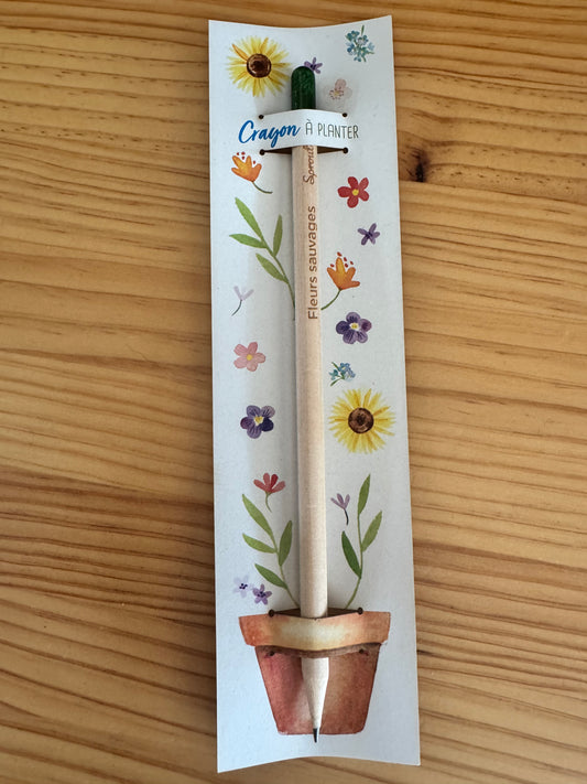 Crayon à planter de fleurs sauvages
