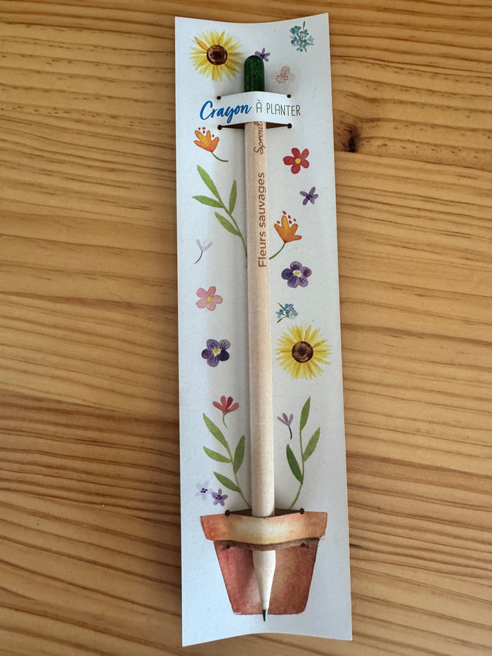 Crayon à planter de fleurs sauvages