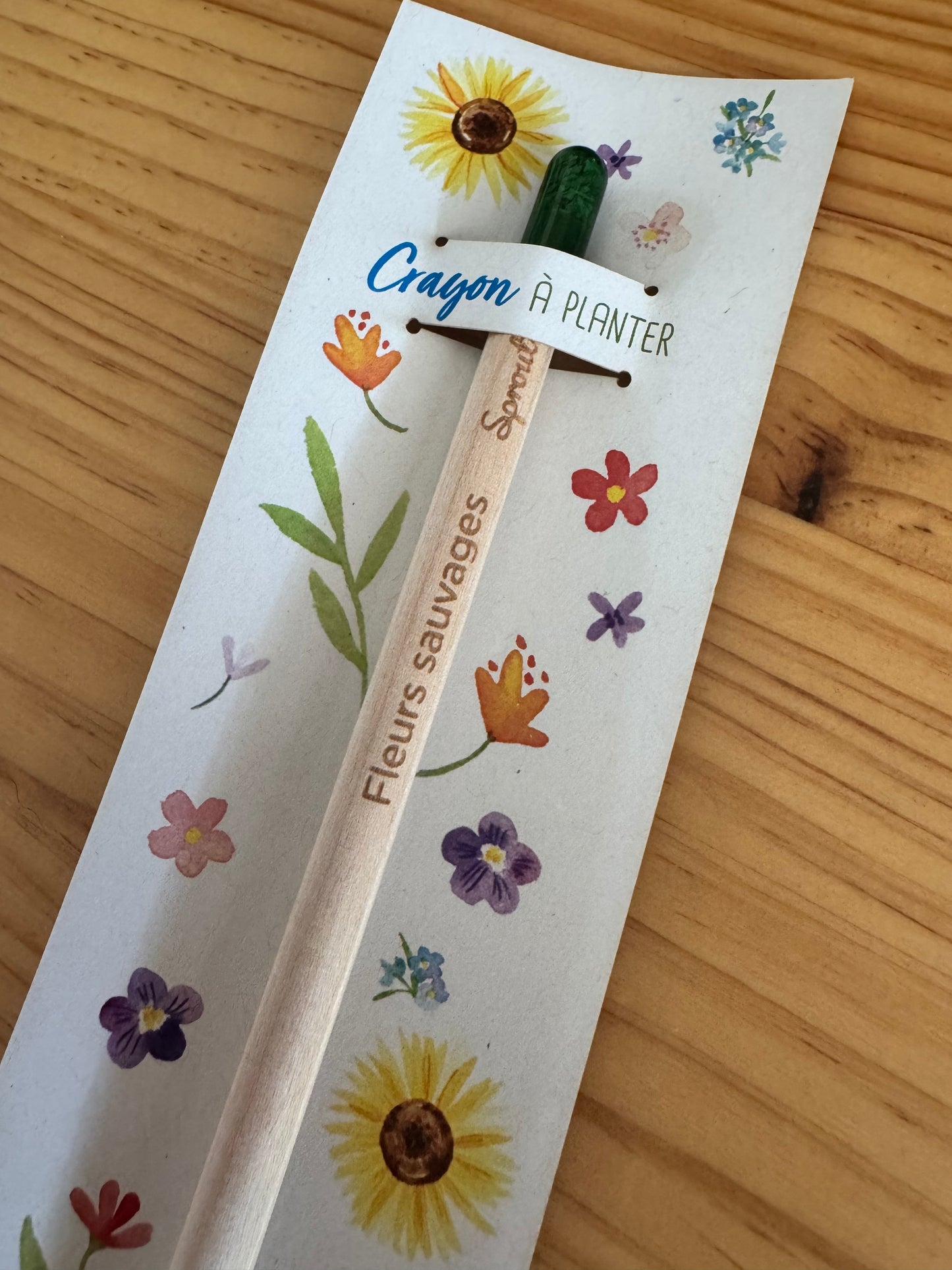 Crayon à planter de fleurs sauvages