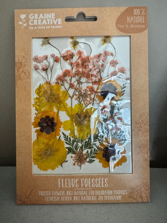 Fleurs de prairie naturelles pressées Jaune
