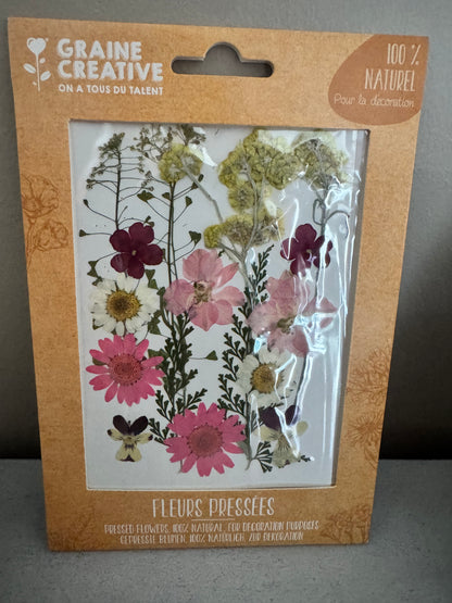 Fleurs de prairie naturelles pressées Rose