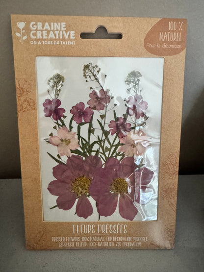 Fleurs de prairie naturelles pressées Parme