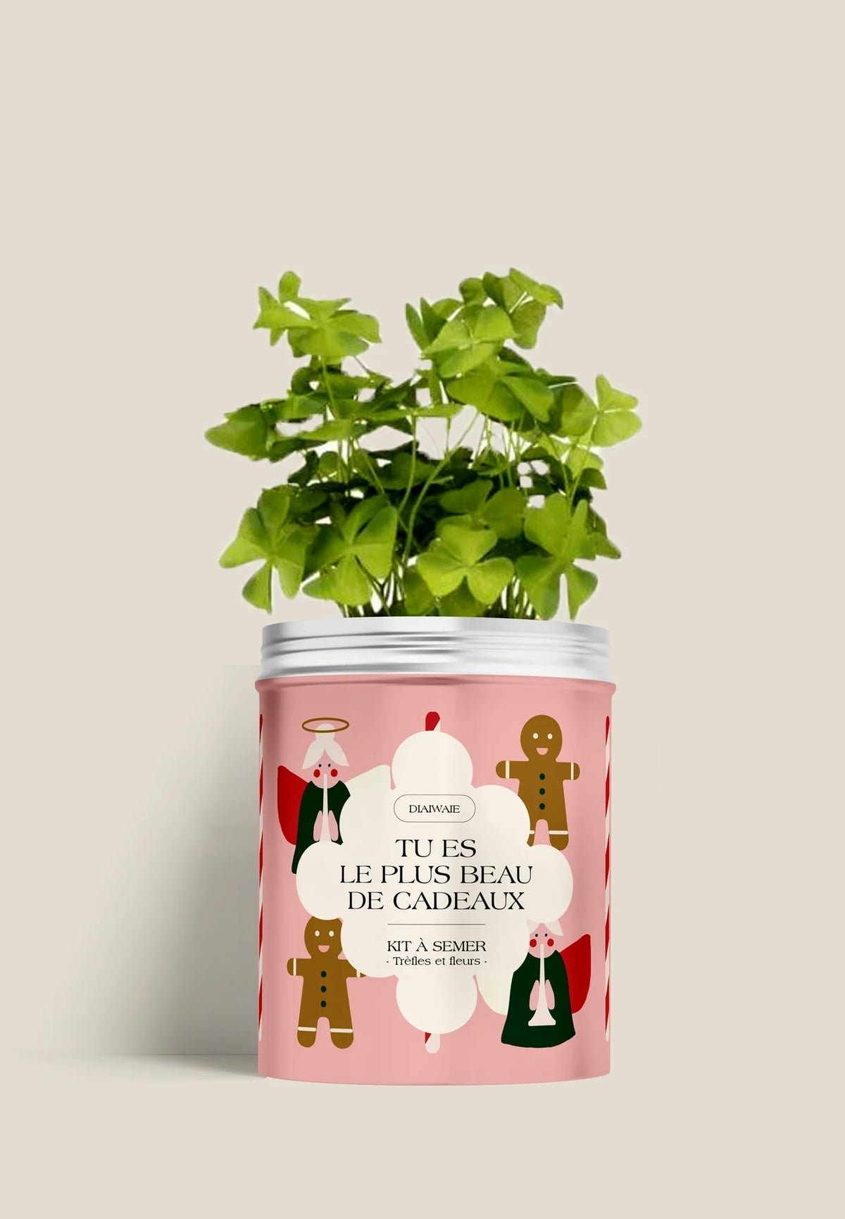 Boîte à semer Le plus beau des cadeaux