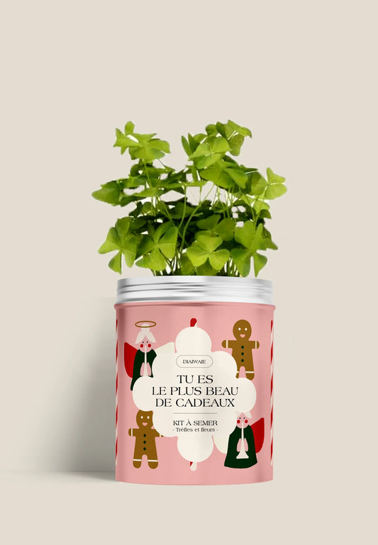 Boîte à semer Le plus beau des cadeaux