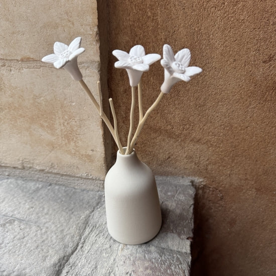 Diffuseur de parfum JOY Crème