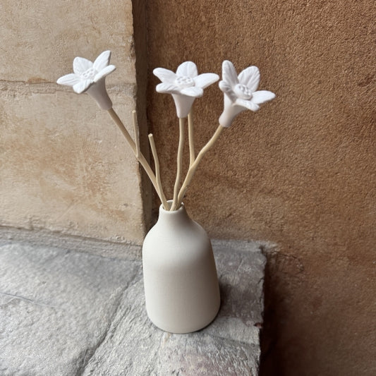 Diffuseur de parfum JOY Crème