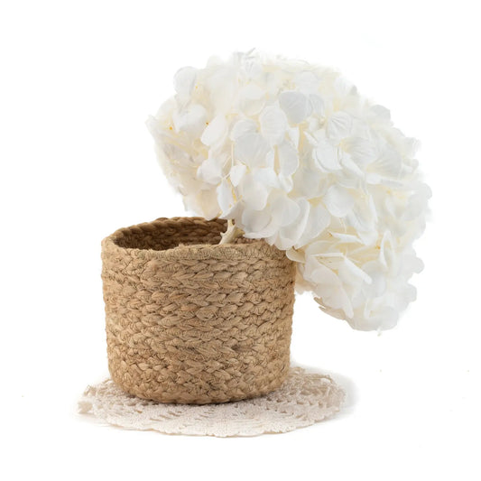 Hortensia Stabilisé Blanc Naturel