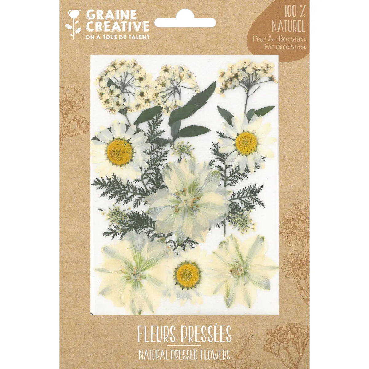Fleurs de prairie naturelles pressées Blanc