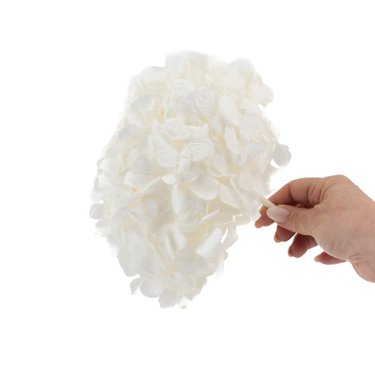 Hortensia Stabilisé Blanc Naturel