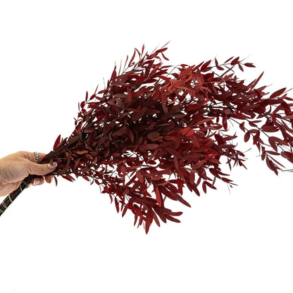 Eucalyptus Parvifolia Stabilisé Rouge