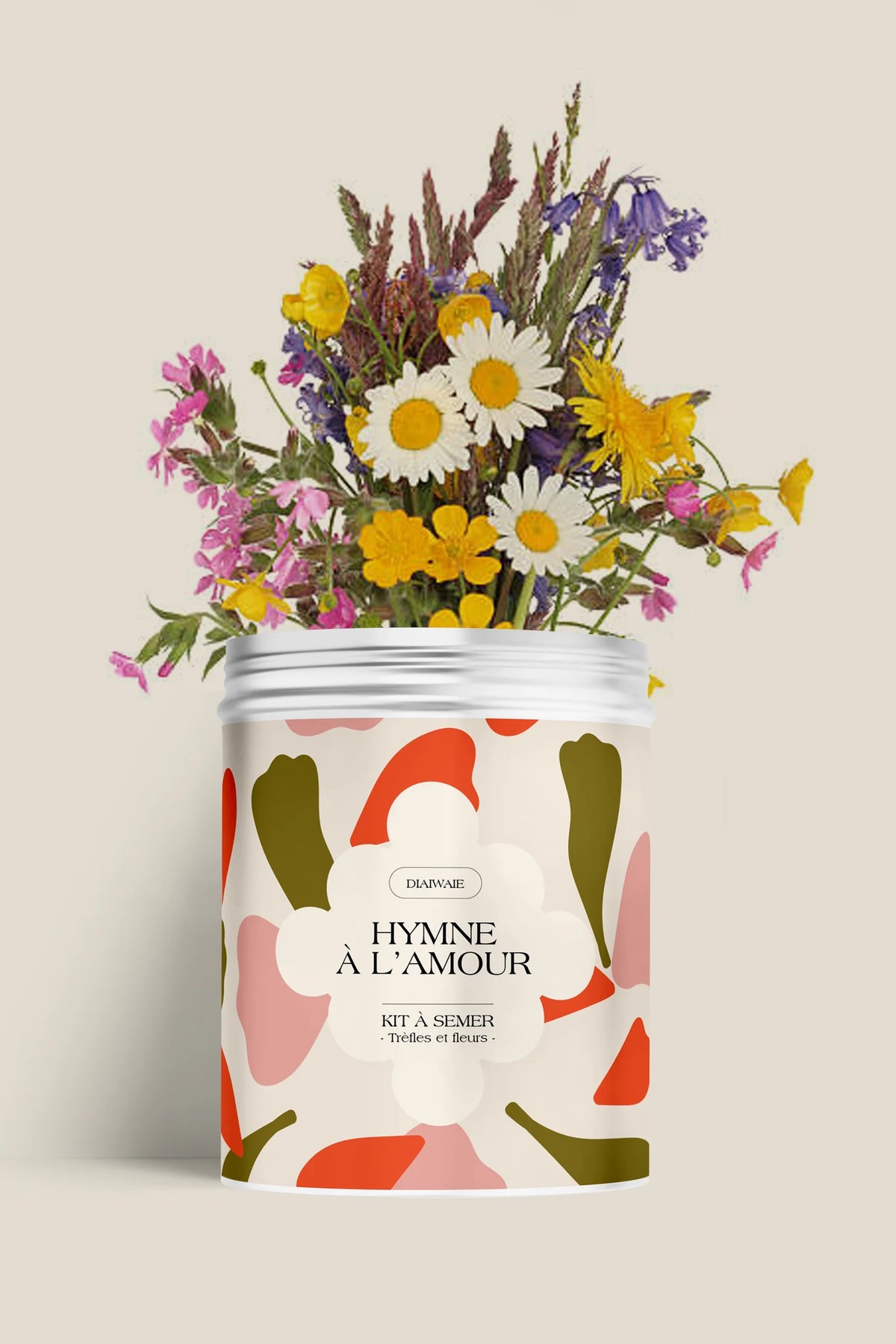 Boîte à semer Merry Christmas