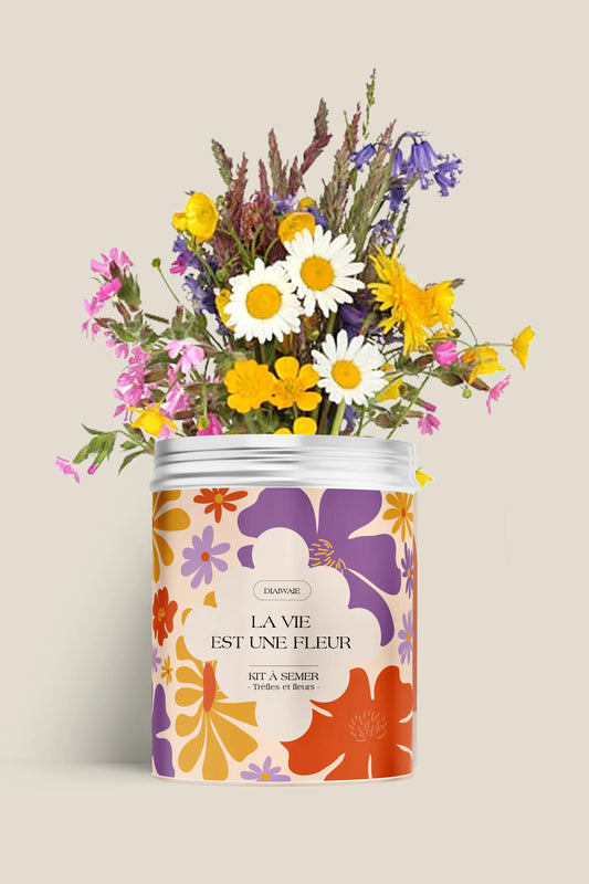 Boîte à semer La vie est une fleur