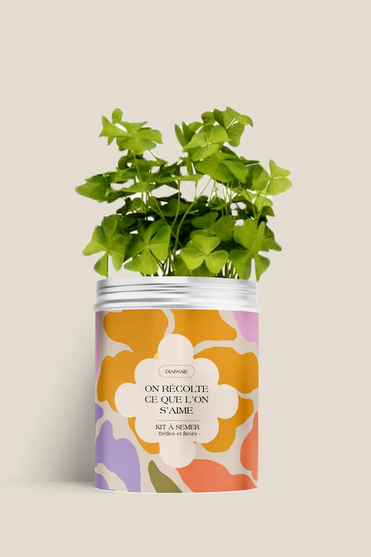 Boîte à semer On récolte ce que l'on s'aime